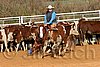 QH062_1100n.jpg