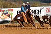 QH062_1102n.jpg