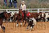 QH062_1112n.jpg
