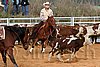 QH062_1113n.jpg
