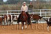 QH062_1116n.jpg
