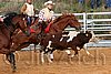QH062_1127n.jpg