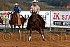 QH062_1131n.jpg