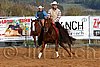 QH062_1134n.jpg