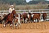 QH062_1138n.jpg