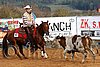 QH062_1139n.jpg