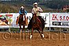QH062_1143n.jpg