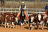 QH062_1164n.jpg