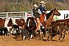 QH062_1168n.jpg
