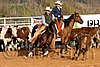 QH062_1169n.jpg