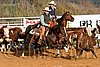 QH062_1170n.jpg