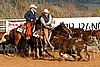 QH062_1171n.jpg