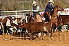 QH062_1173n.jpg