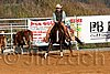 QH062_1176n.jpg