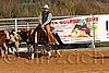 QH062_1177n.jpg