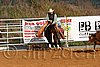 QH062_1180n.jpg