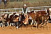QH062_1182n.jpg