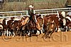 QH062_1183n.jpg