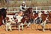 QH062_1185n.jpg