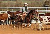 QH062_1188n.jpg