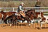 QH062_1189n.jpg