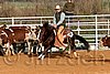 QH062_1192n.jpg