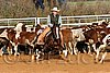 QH062_1194n.jpg