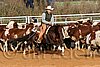 QH062_1195n.jpg