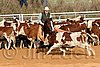 QH062_1196n.jpg