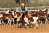 QH062_1197n.jpg