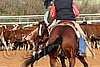 QH062_1199n.jpg