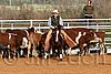 QH062_1203n.jpg