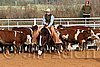QH062_1204n.jpg