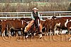 QH062_1205n.jpg