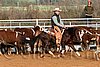 QH062_1207n.jpg