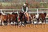 QH062_1208n.jpg