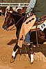 QH062_1214n.jpg