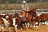 QH062_1227n.jpg