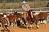 QH062_1228n.jpg