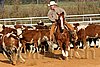 QH062_1229n.jpg
