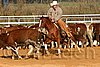 QH062_1236n.jpg