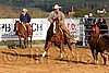 QH062_1241n.jpg