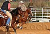 QH062_1250n.jpg