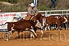 QH062_1257n.jpg