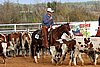 QH062_1258n.jpg