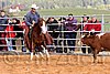 QH062_1264n.jpg