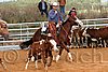 QH062_1267n.jpg
