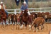 QH062_1279n.jpg