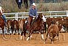 QH062_1280n.jpg