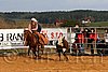 QH062_1283n.jpg